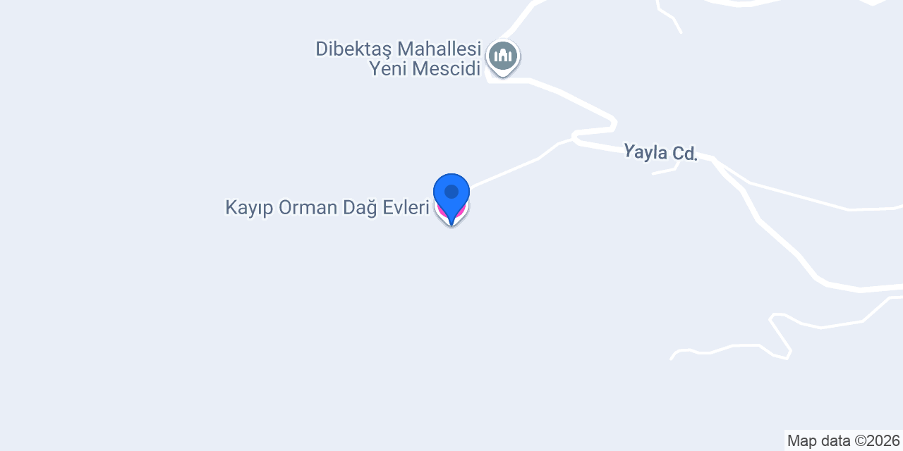 Kayıp Orman Dağ Evleri konumu