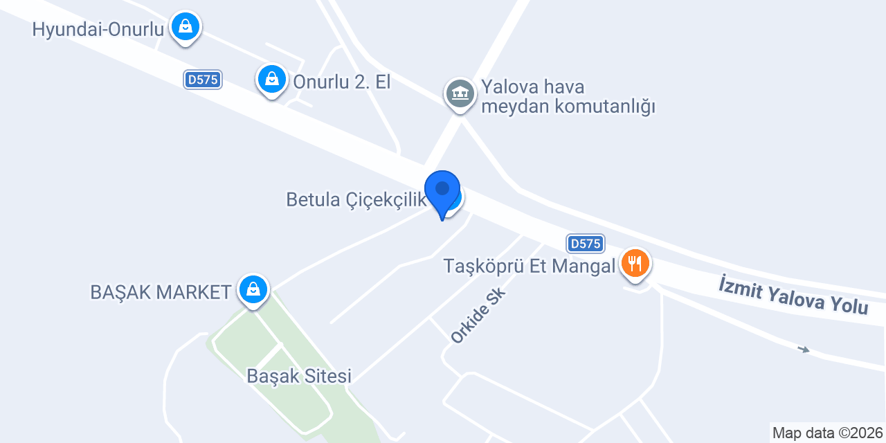 Betula Çiçekçilik konumu