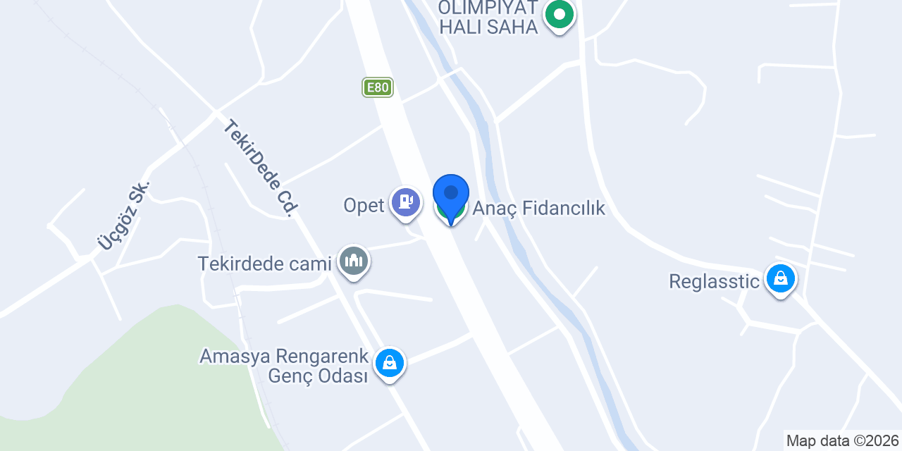 Anaç Fidancılık konumu