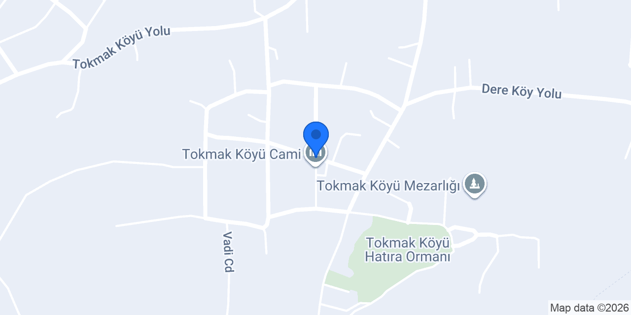 Petline konumu