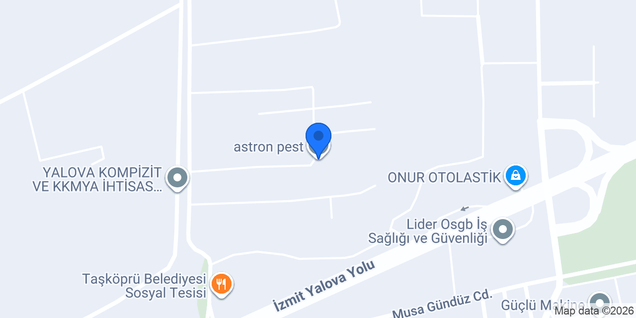 astron pest konumu