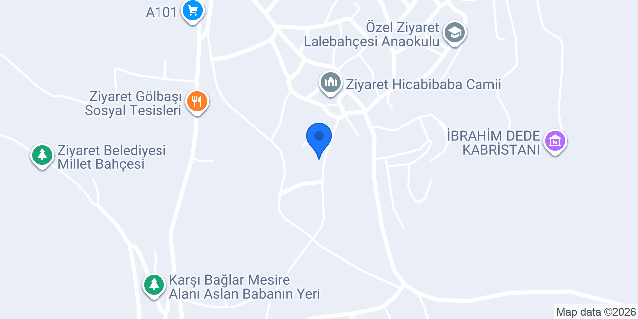Alp Turşu Gıda konumu