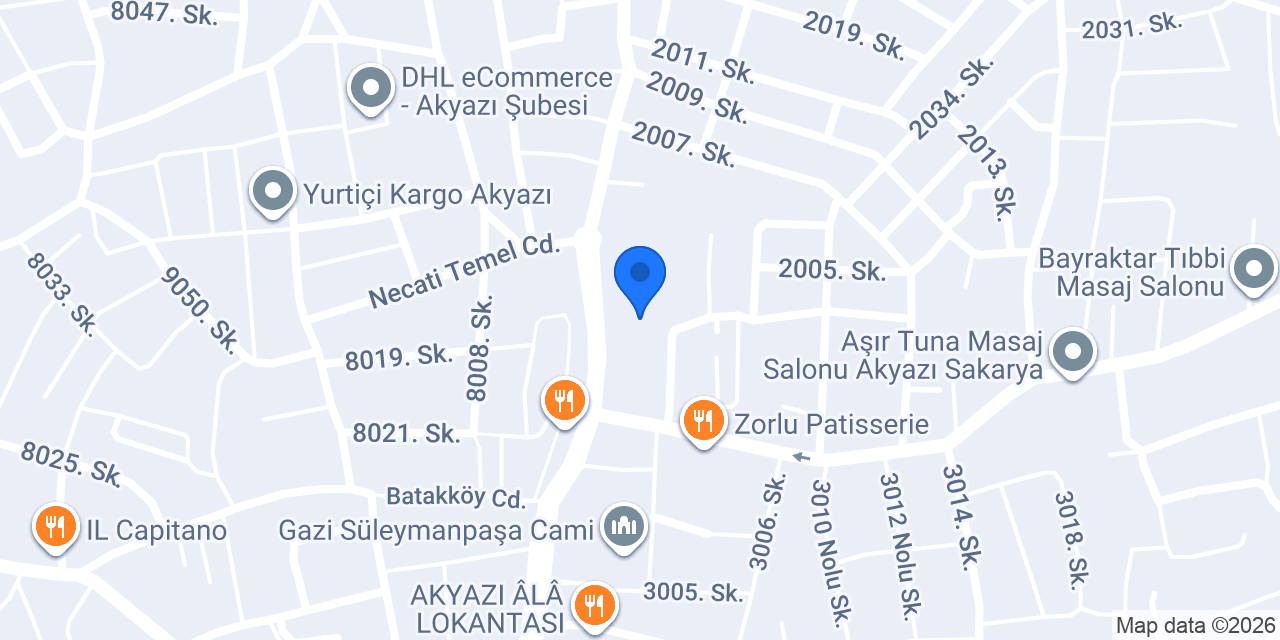 ÖZEL AKYAZI BAŞARI TEMEL LİSESİ konumu