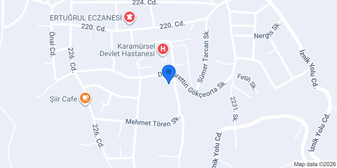 Lavinya Peyzaj Kocaeli konumu