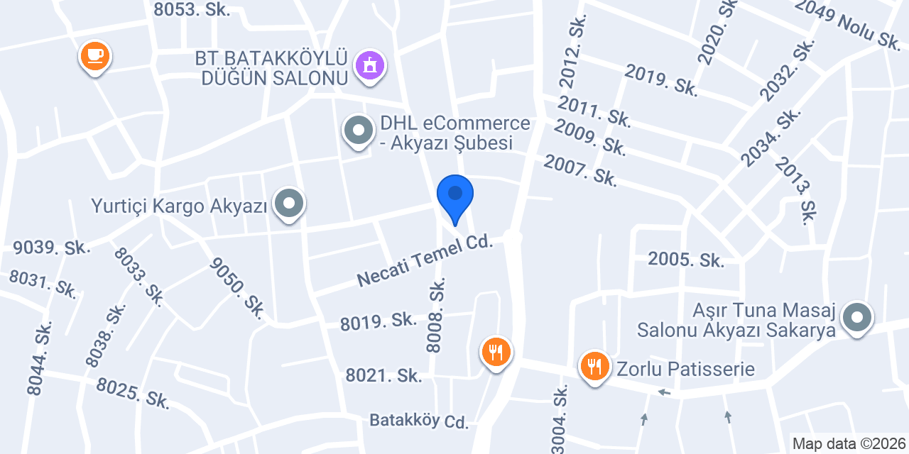 Ayca Berber konumu