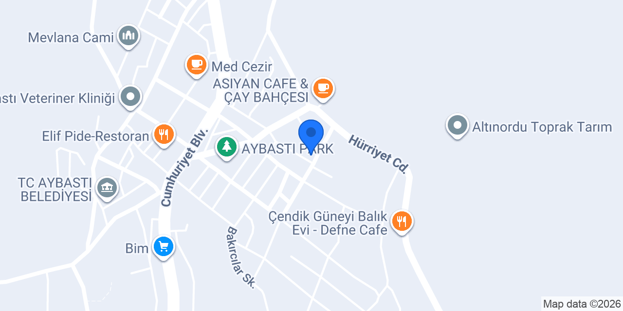 Sanatsal Mozaik konumu