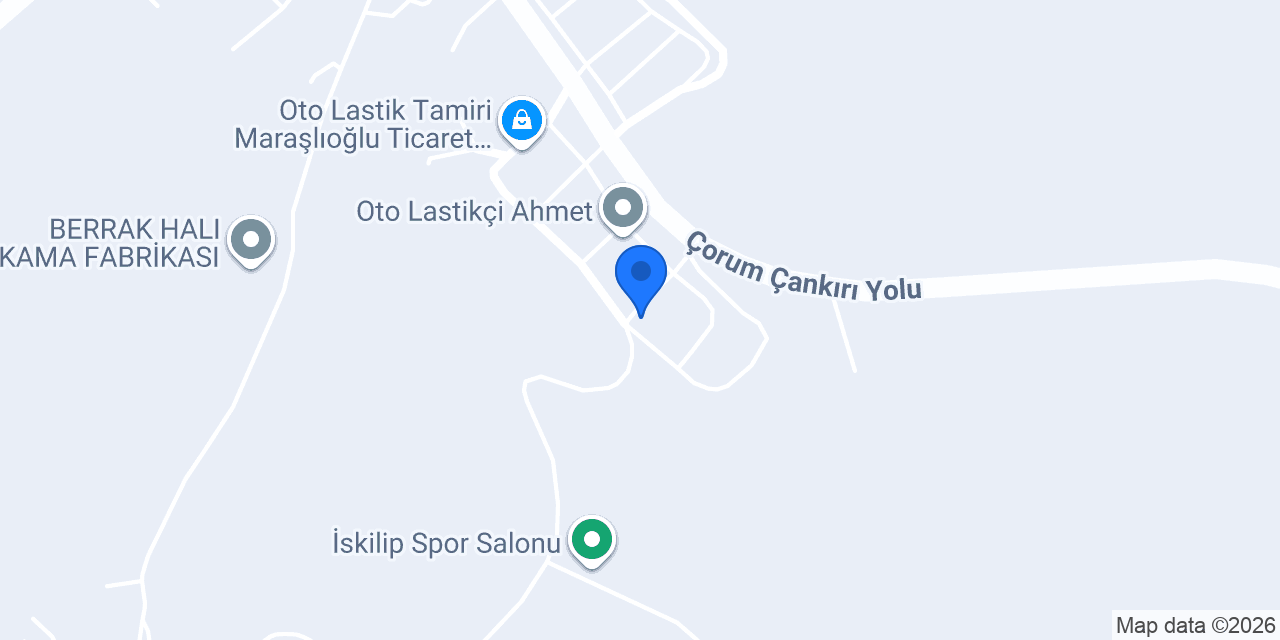 Özden İş Oto Elektrik konumu