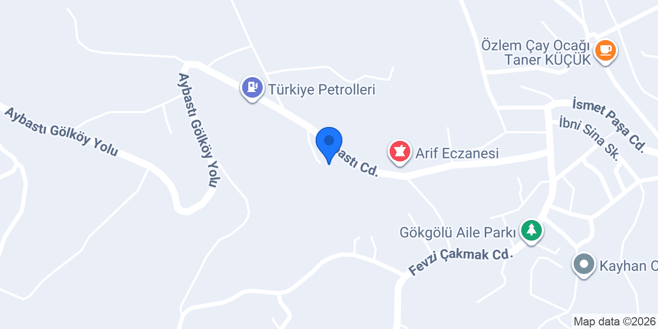 ED AUTO konumu