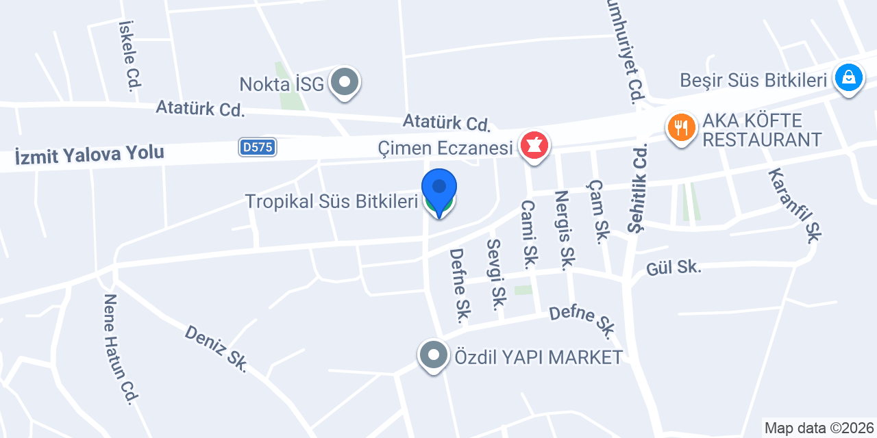 Tropikal Süs Bitkileri konumu