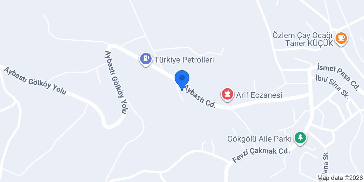 AYTAŞ OTOMOTİV konumu