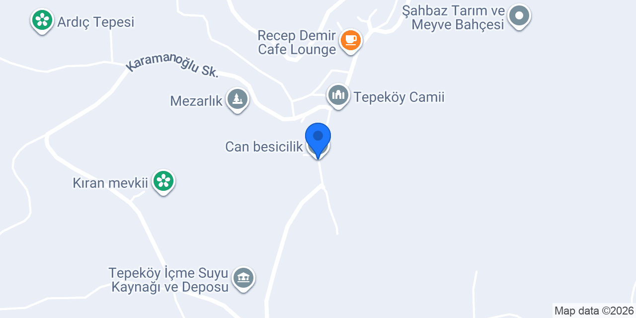 Can besicilik konumu