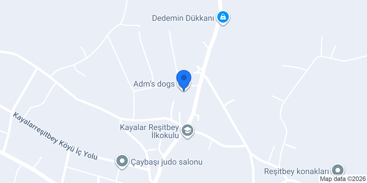 Adm’s dogs konumu