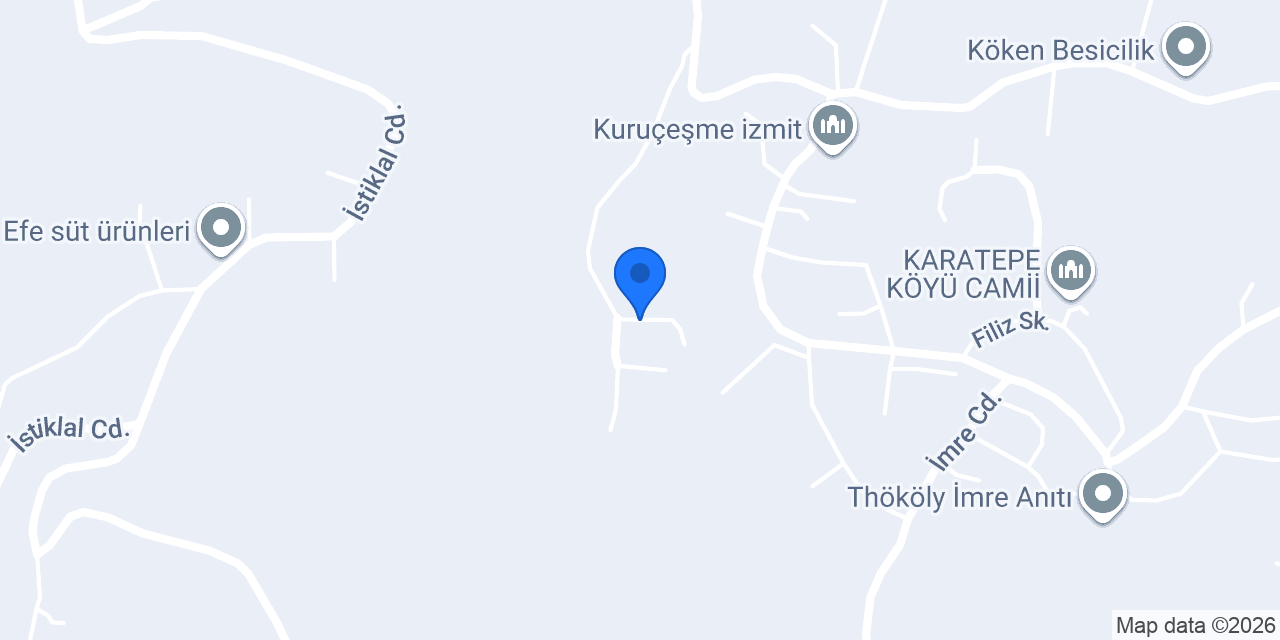 Alesta Tatil Evi konumu