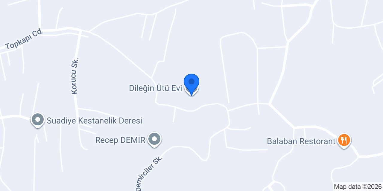 Dileğin Ütü Evi konumu