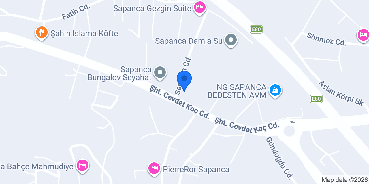 CarrefourSA konumu
