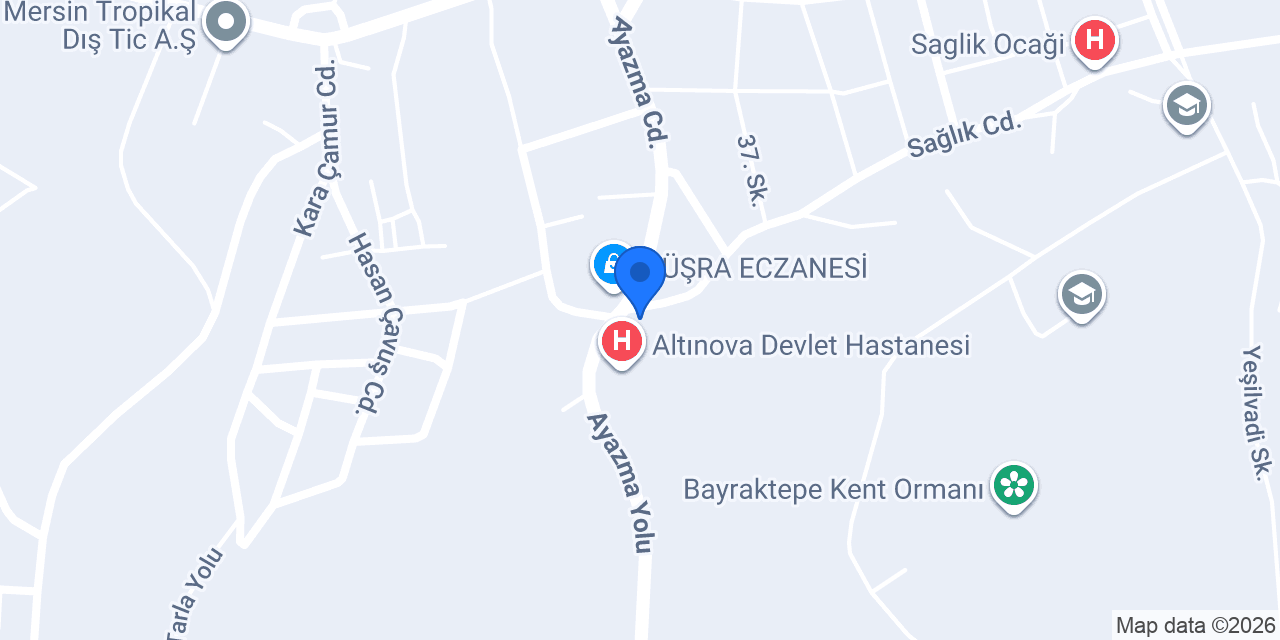 YALOVA SUBASI ASM konumu