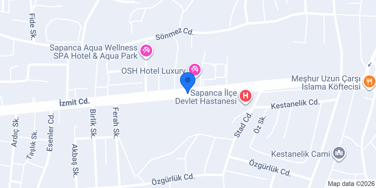 Sapanca Divan Mobilya konumu