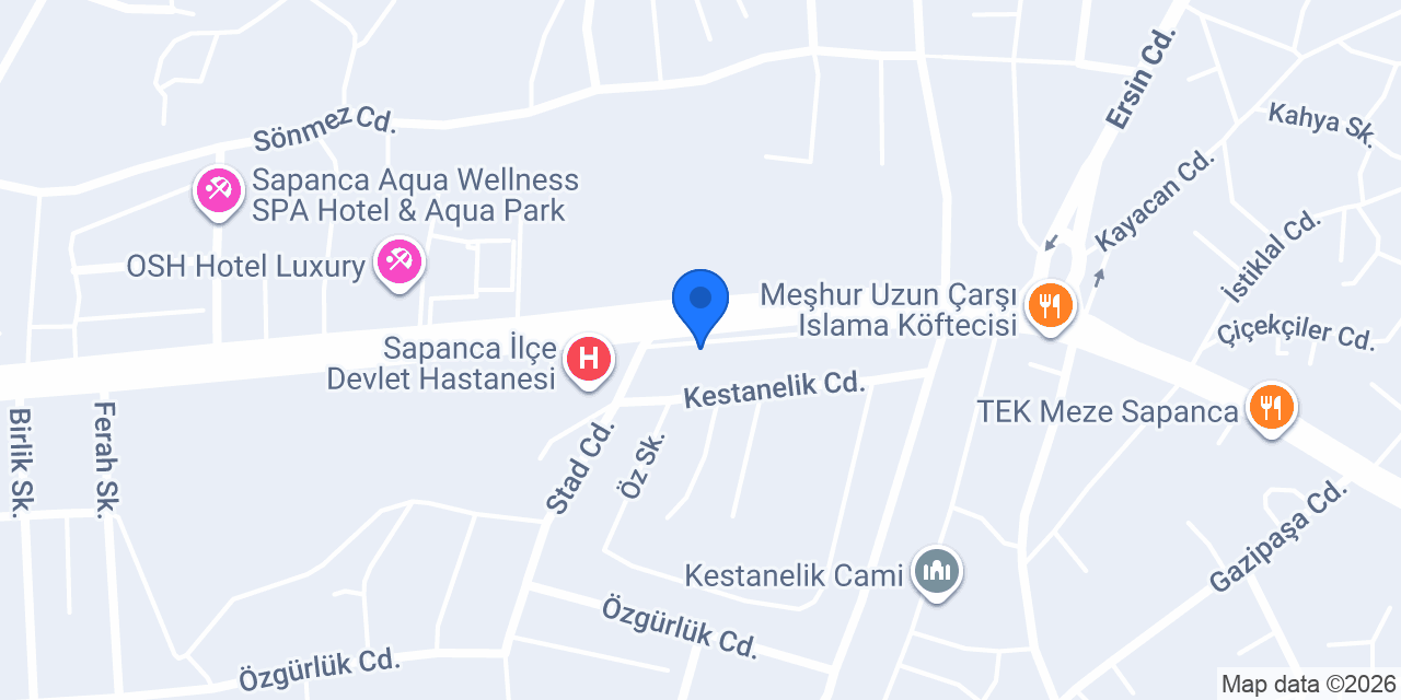 MEST ET Kasap Sapanca konumu