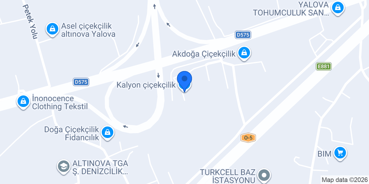 Kalyon çiçekçilik konumu