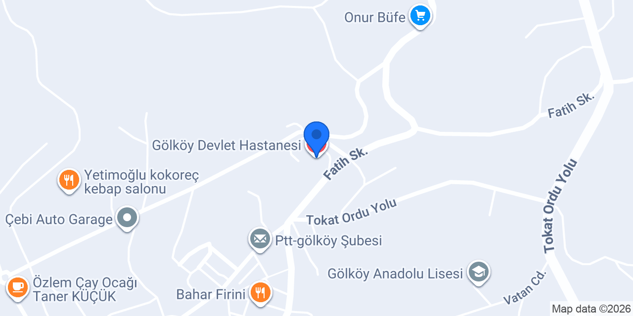 Gölköy Devlet Hastanesi konumu