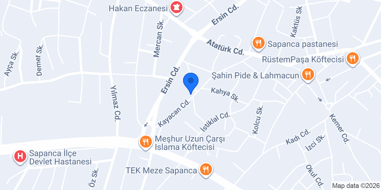 Aras Kargo Sapanca Şubesi konumu