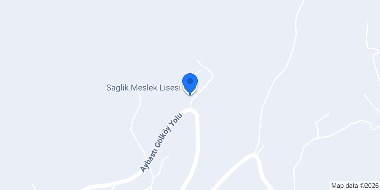 Saglik Meslek Lisesi konumu