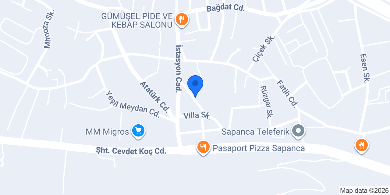 Lewent Flowers - Kırkpınar konumu