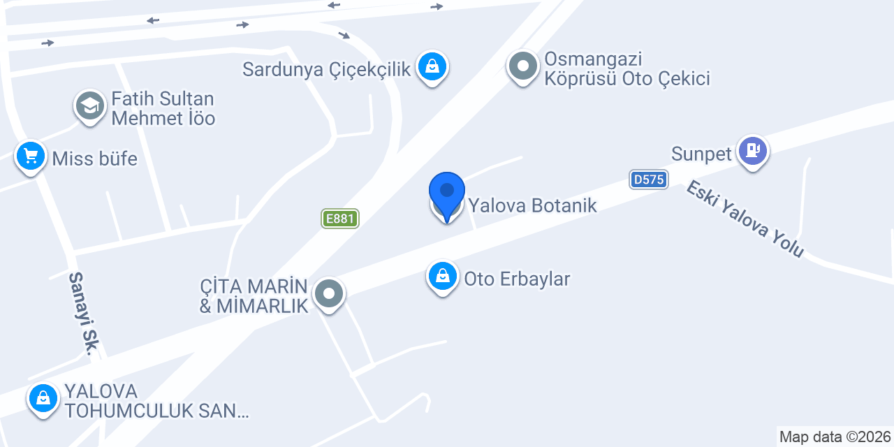 Yalova Botanik konumu
