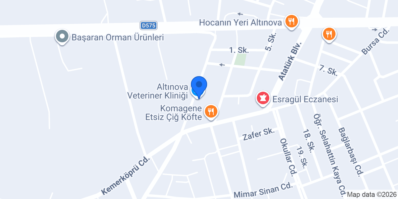 Altınova Veteriner Kliniği konumu
