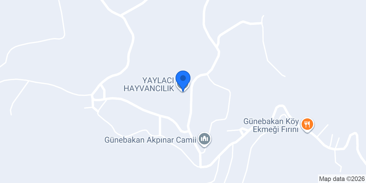 YAYLACI HAYVANCILIK konumu