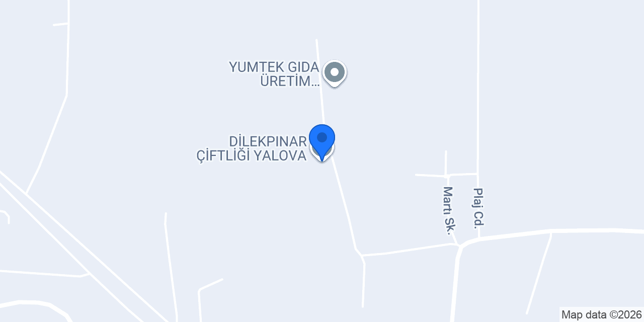 DİLEKPINAR ÇİFTLİĞİ YALOVA konumu