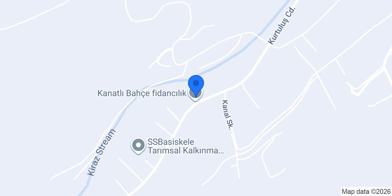 Bayrak Fidancılık konumu