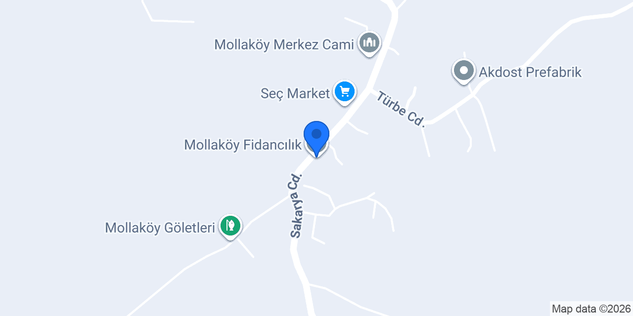 Mollaköy Fidancılık konumu