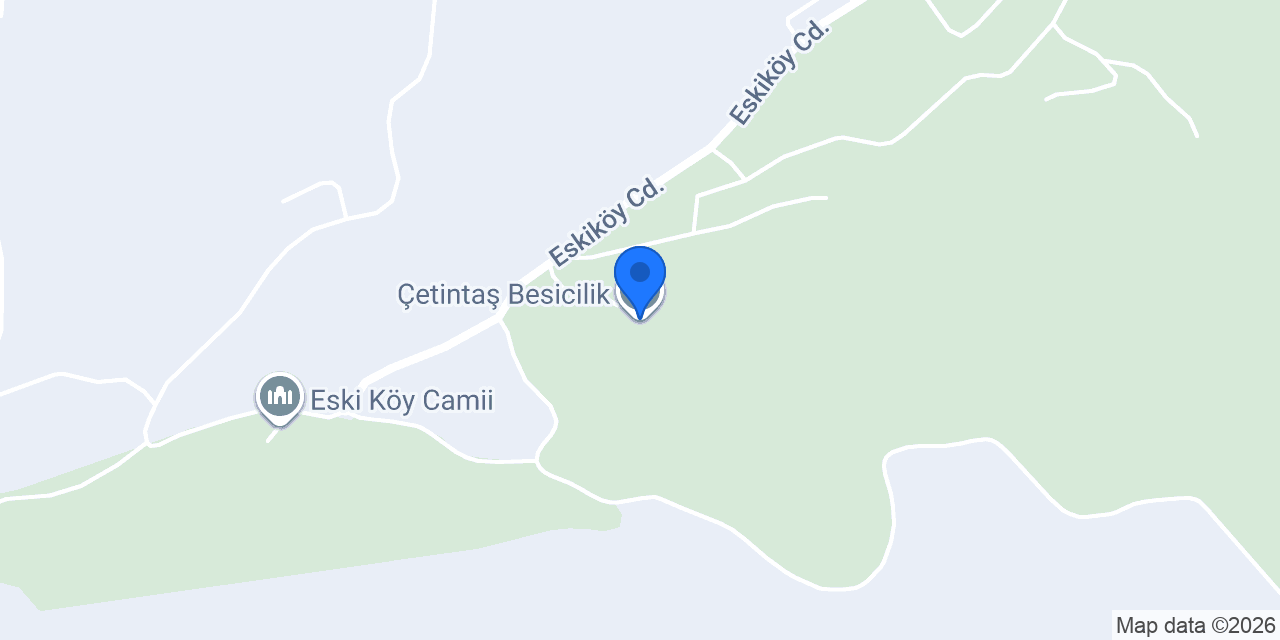 Çetintaş Besicilik konumu