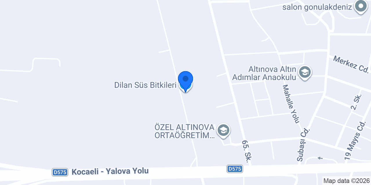 Dilan Süs Bitkileri konumu