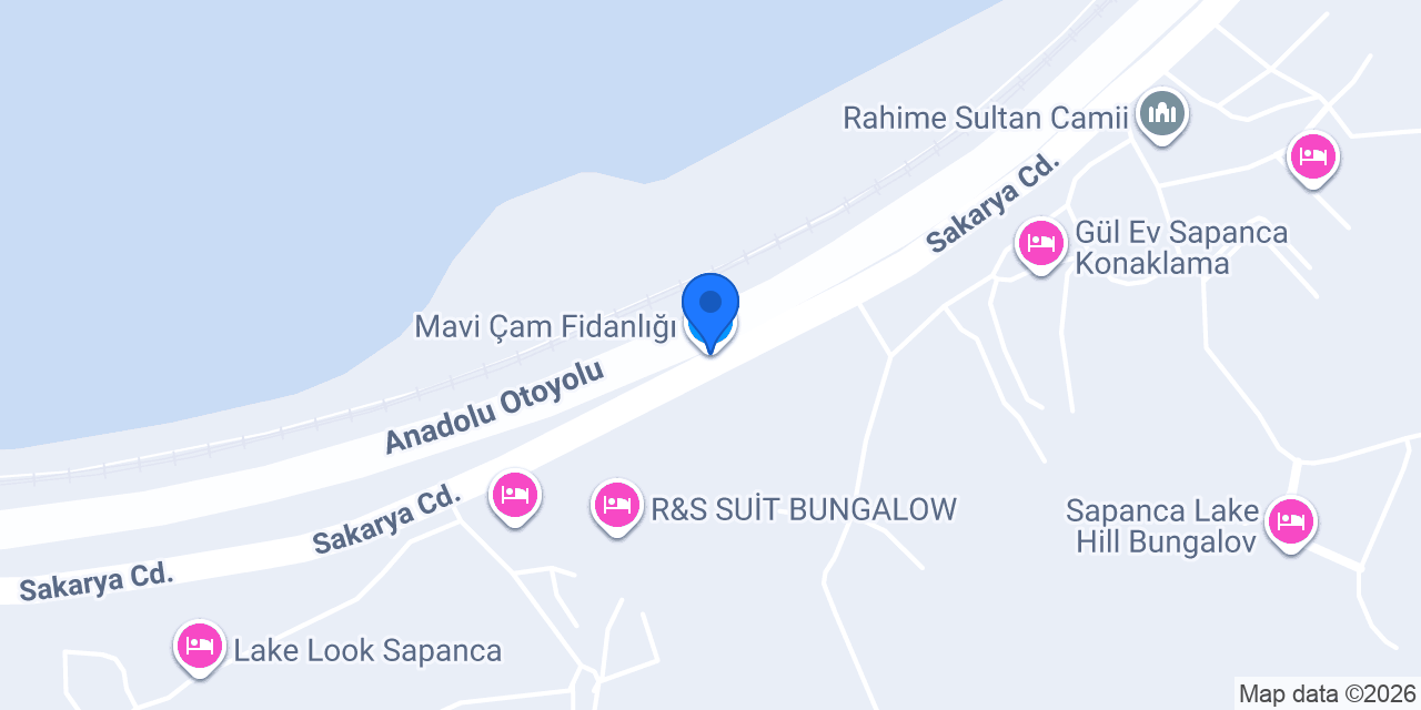 Mavi Çam Fidanlığı konumu
