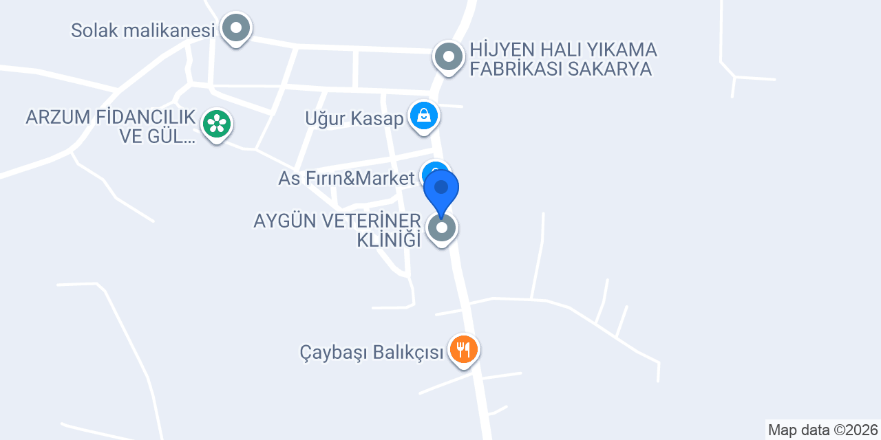 BAYAS YAPI (ASPEN) konumu