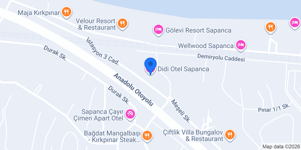 Didi Otel Sapanca konumu