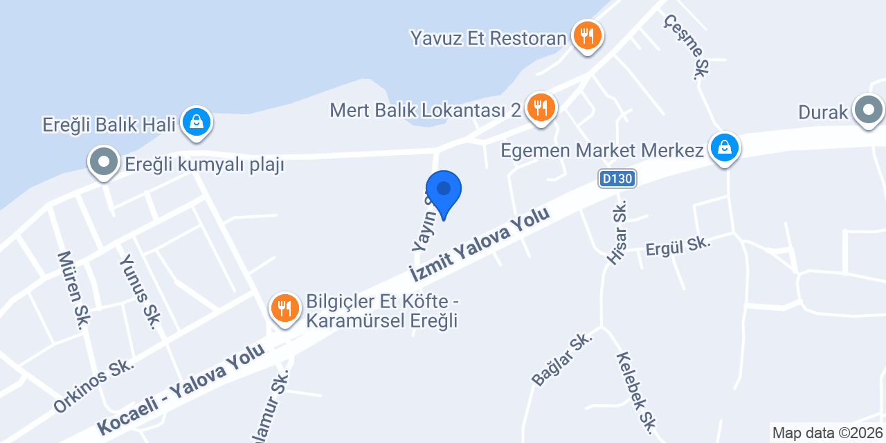 Aslan Halı Yıkama konumu