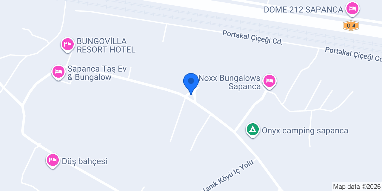 Leylandi Dünyası konumu