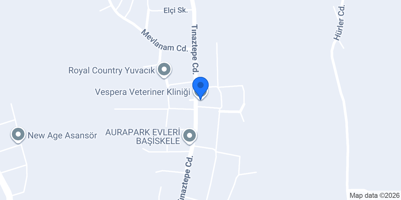 Vespera Veteriner Kliniği konumu