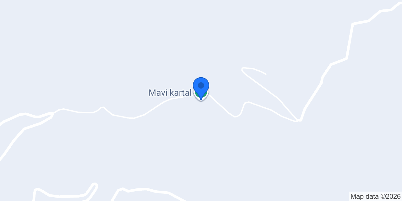 Mavi kartal konumu