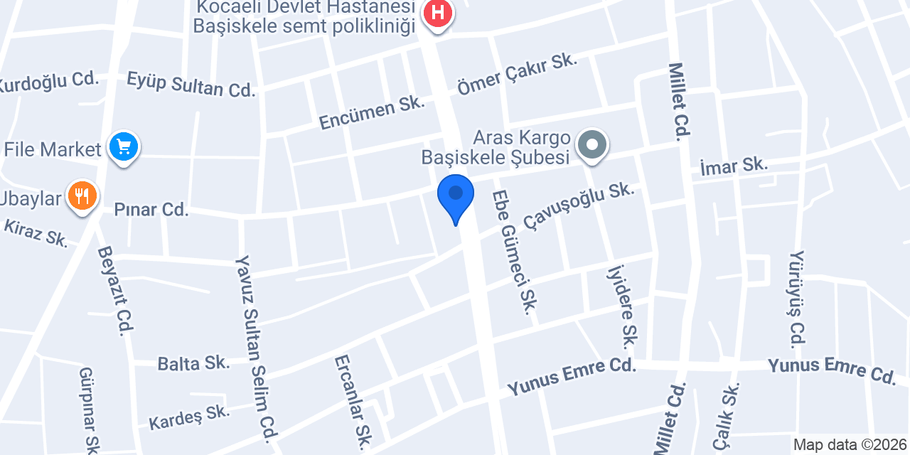 BULUT Veteriner Kliniği Başiskele konumu