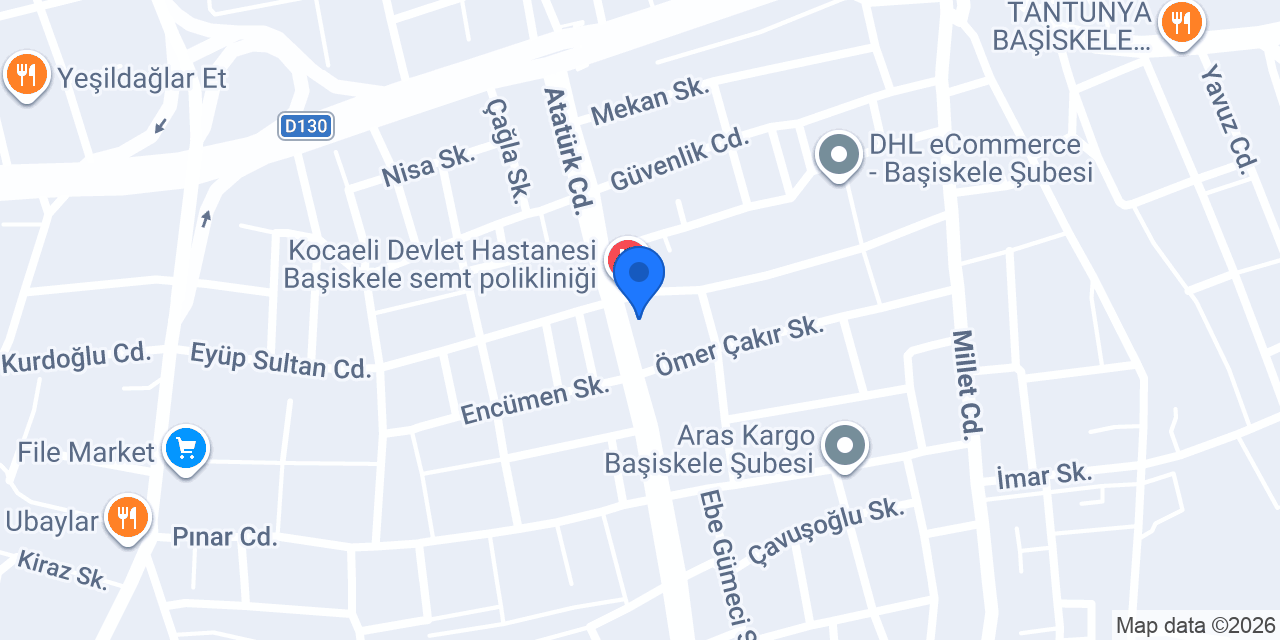 Çınaraltı41 fastfood konumu