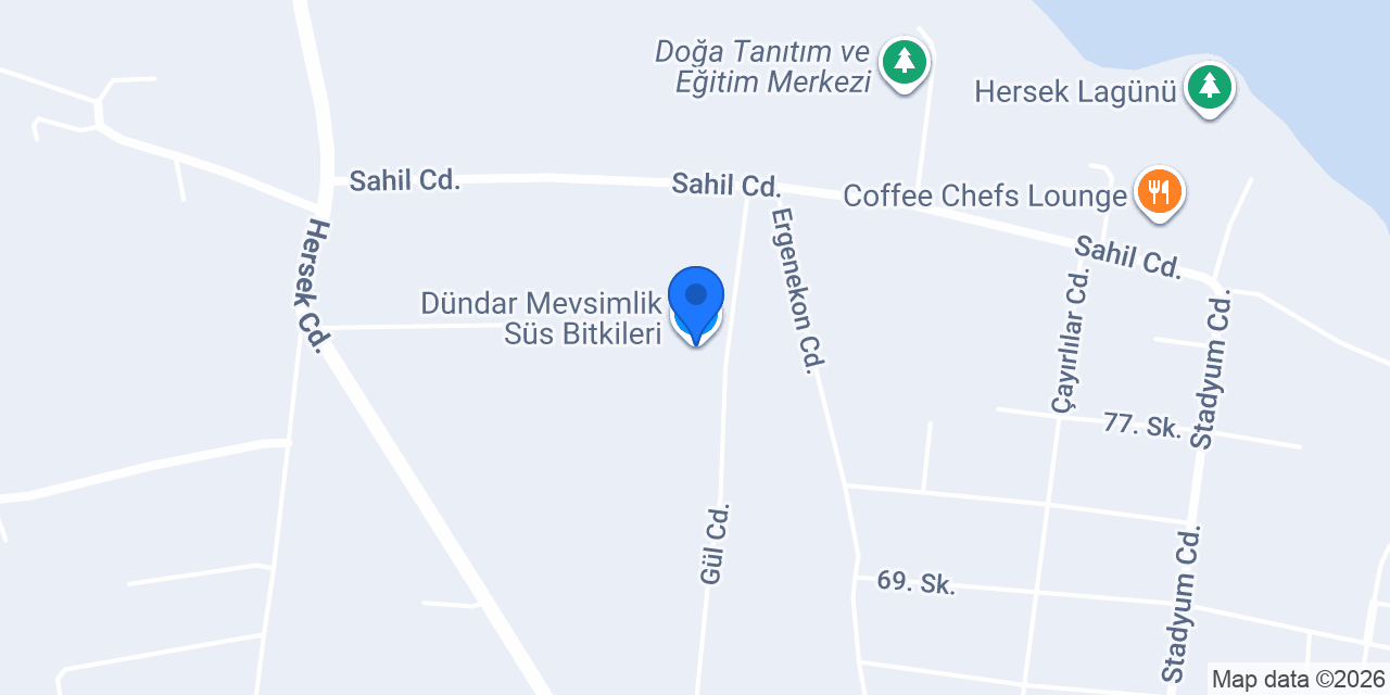 Dündar Mevsimlik Süs Bitkileri konumu