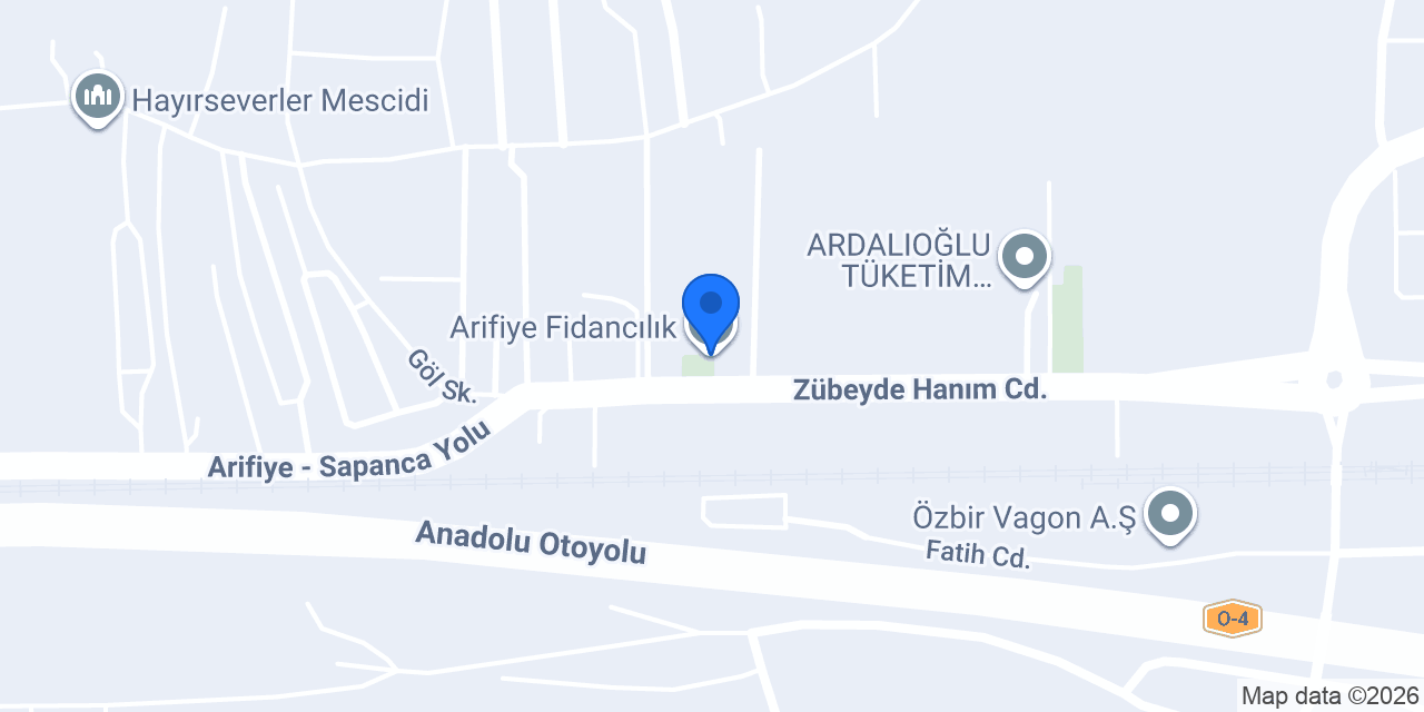 Arifiye Fidancılık konumu