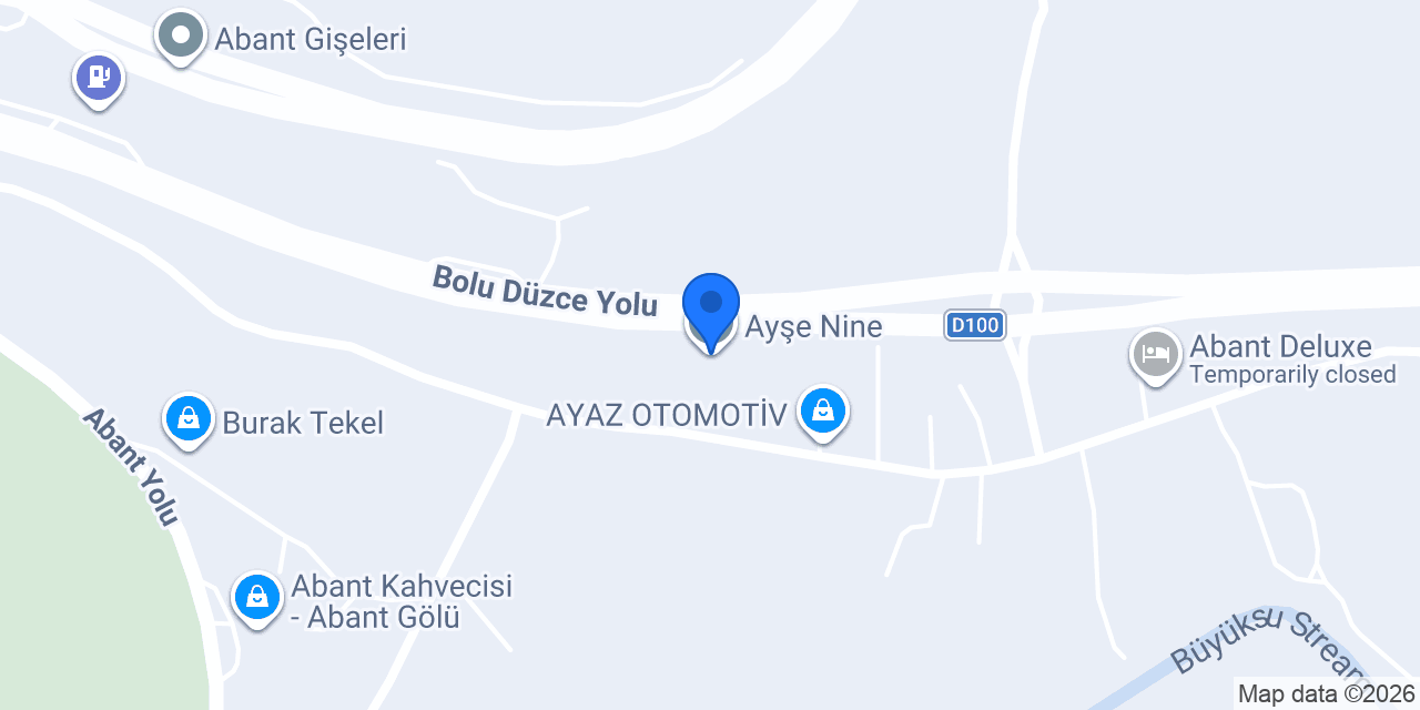 Ayşe Nine konumu