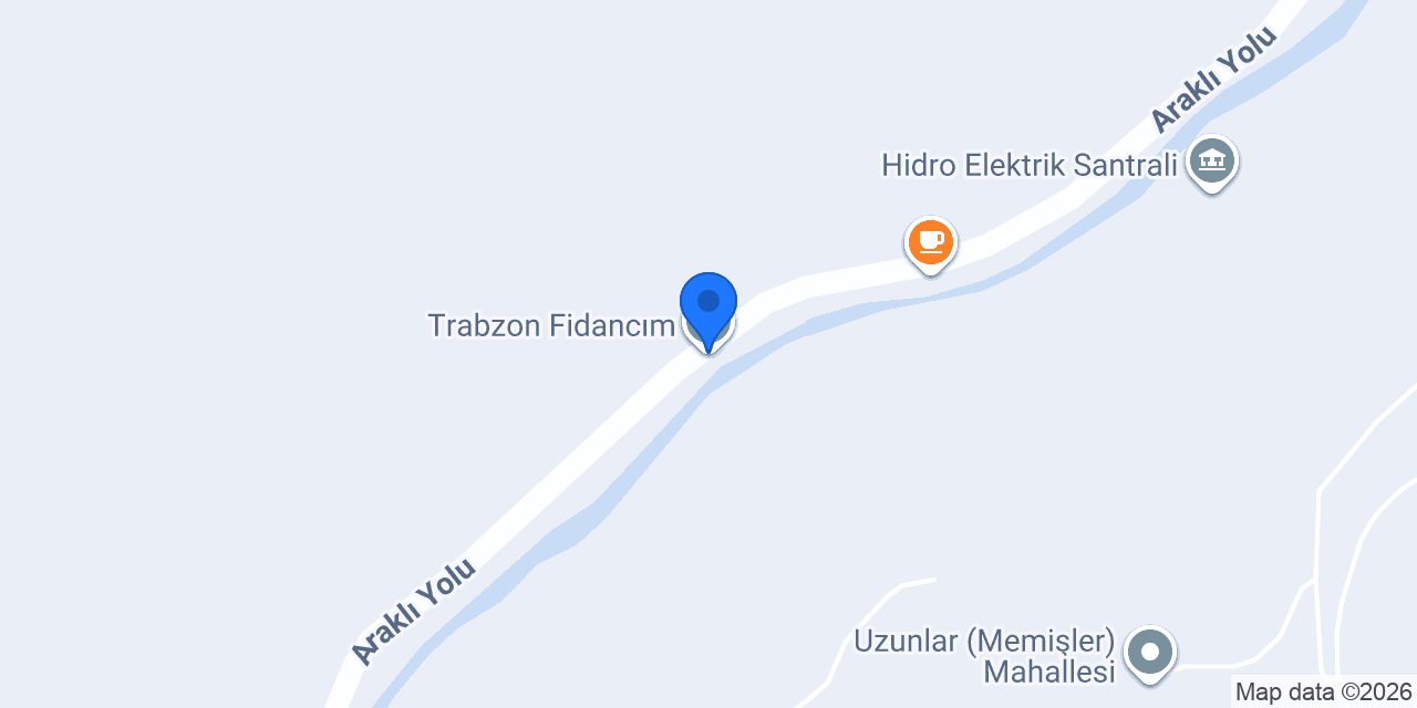 Trabzon Fidancım konumu