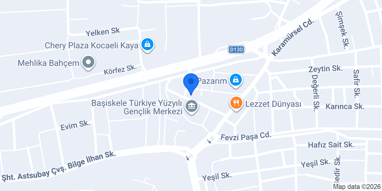 NEZKA AUTO KOCAELİ konumu