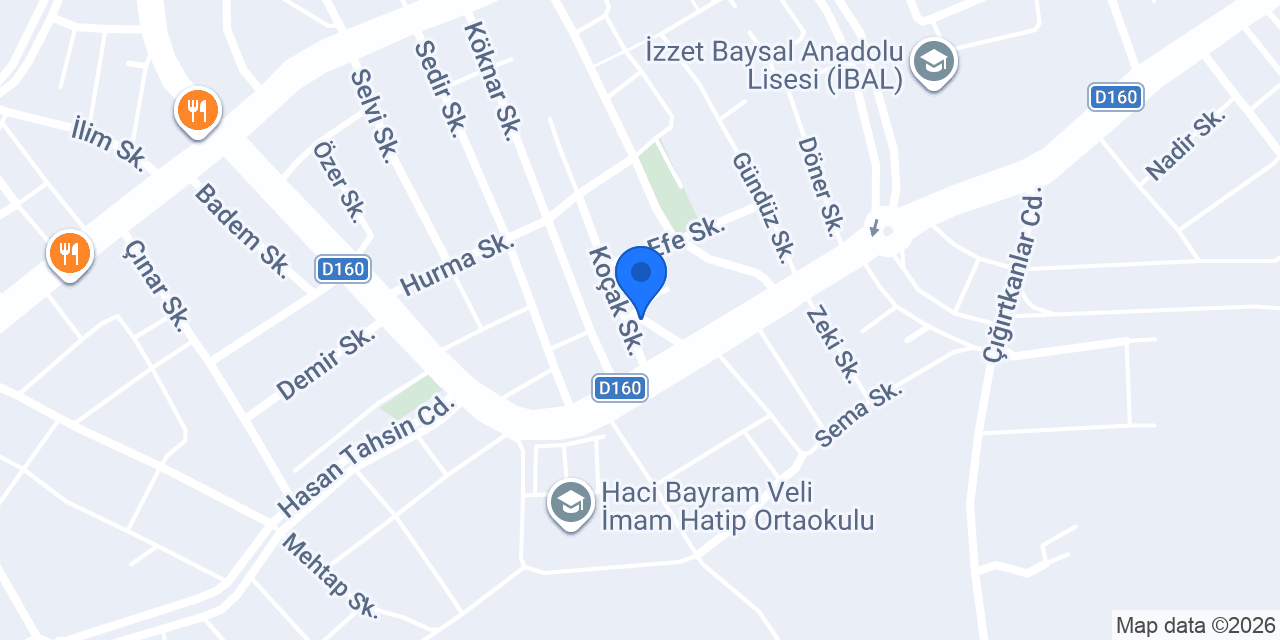 Lider Tesisat konumu